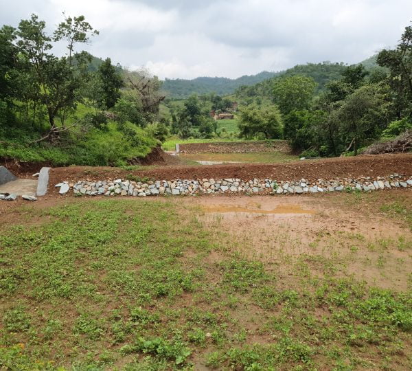 Check Dam Development